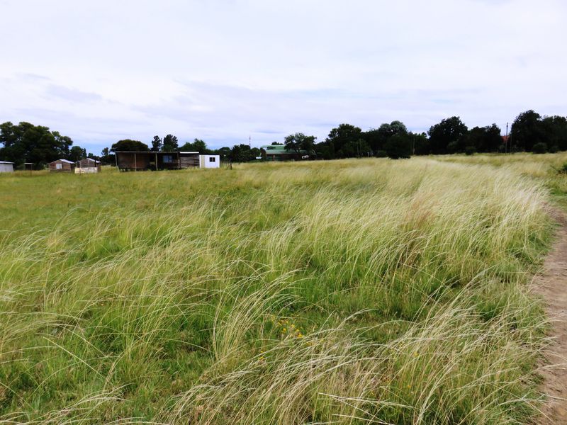Large stand near the Vaal Dam in Oranjeville - Photo 4