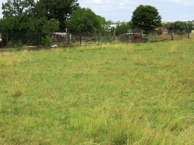 Large stand near the Vaal Dam in Oranjeville - Photo 10