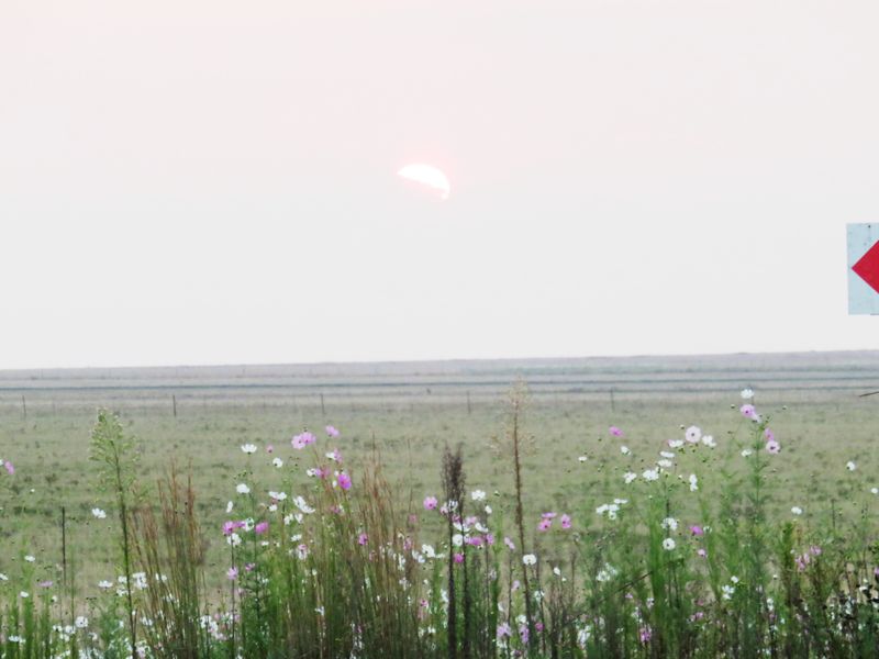 Large stand near the Vaal Dam in Oranjeville - Photo 8