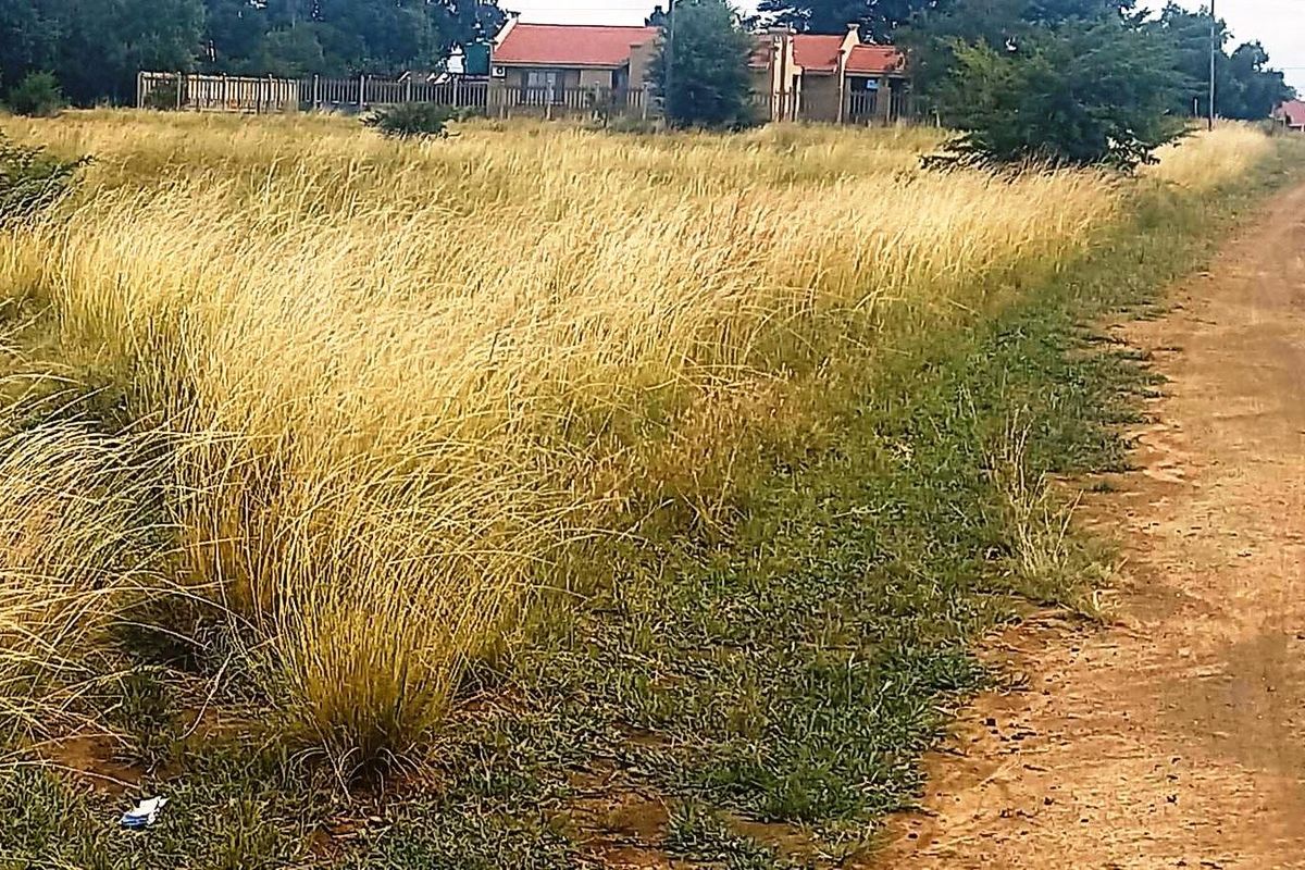 Large stand near the Vaal Dam in Oranjeville - Photo 3