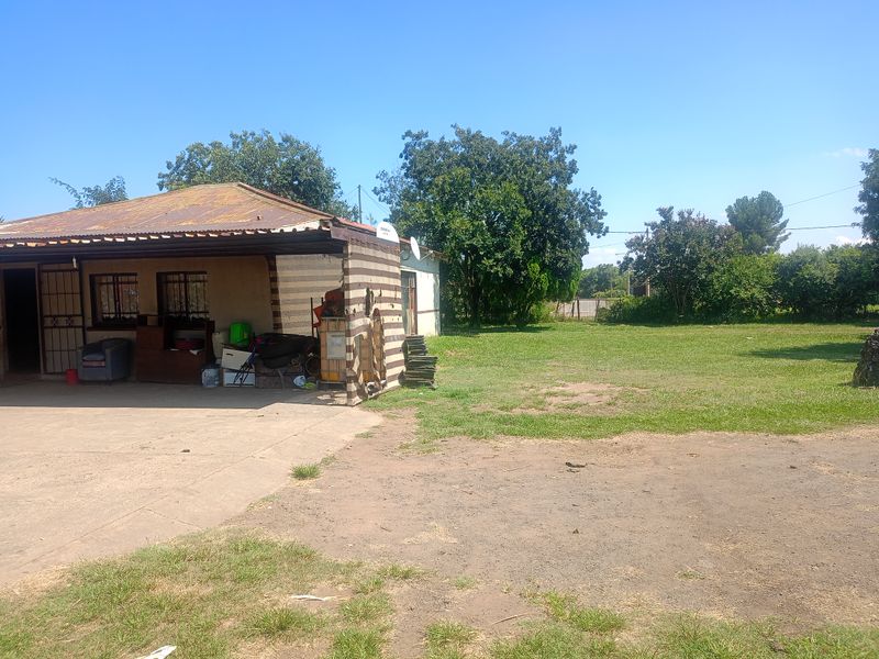 Income-Generating Smallholding with Established Vegetable Garden - Photo 9