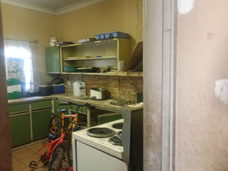 Income-Generating Smallholding with Established Vegetable Garden - Photo 10