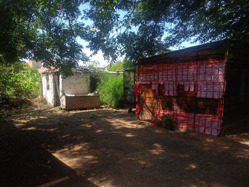 Income-Generating Smallholding with Established Vegetable Garden - Photo 7