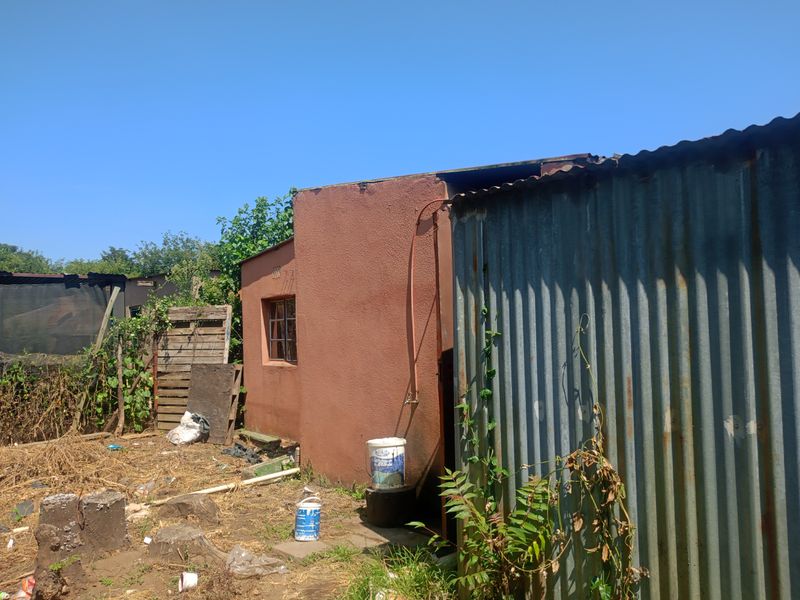 Income-Generating Smallholding with Established Vegetable Garden - Photo 8