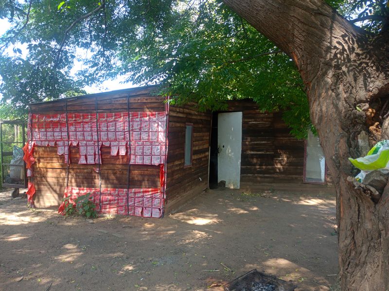 Income-Generating Smallholding with Established Vegetable Garden - Photo 6