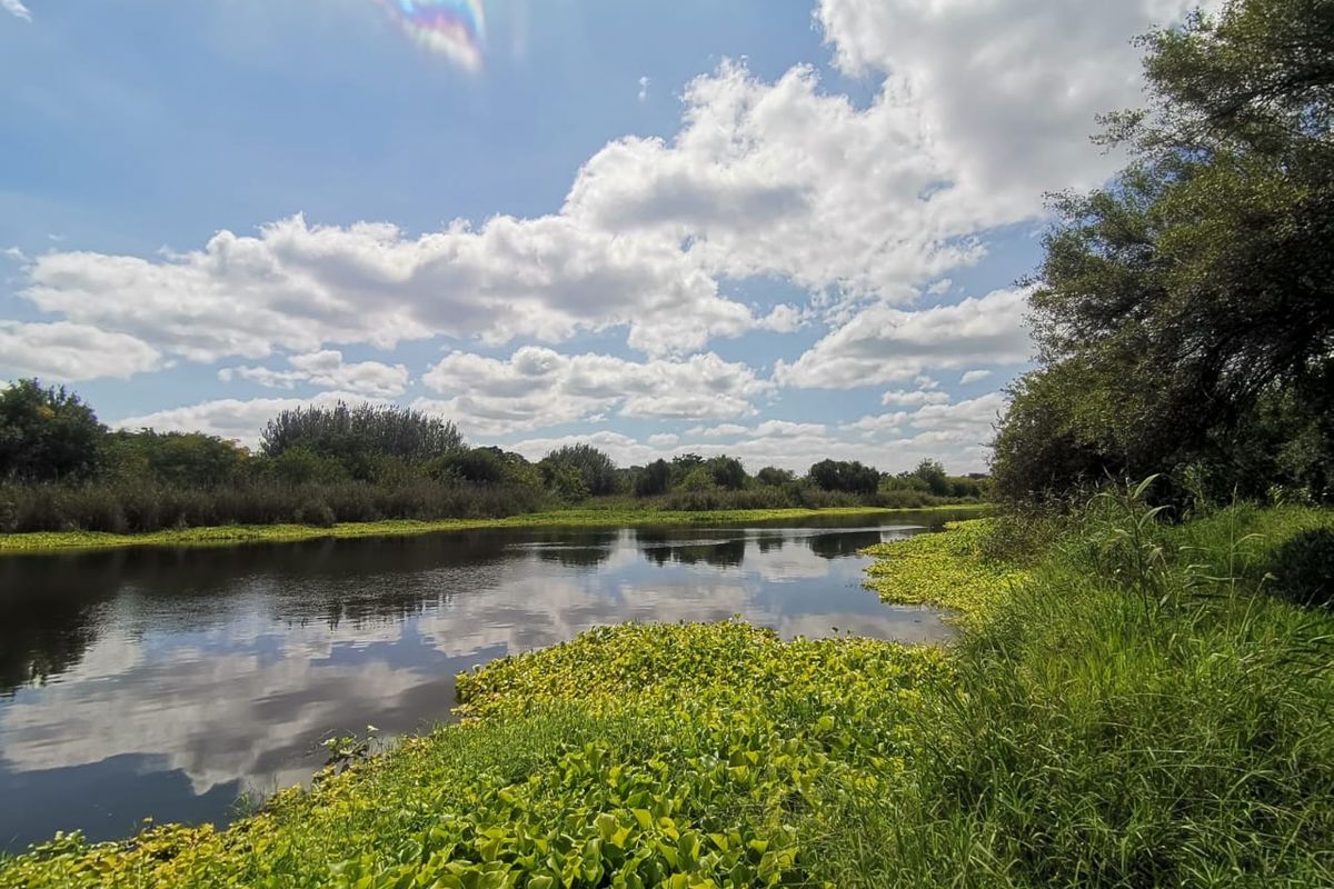 22Ha Prime Development Land – R512, Brits - Photo 5