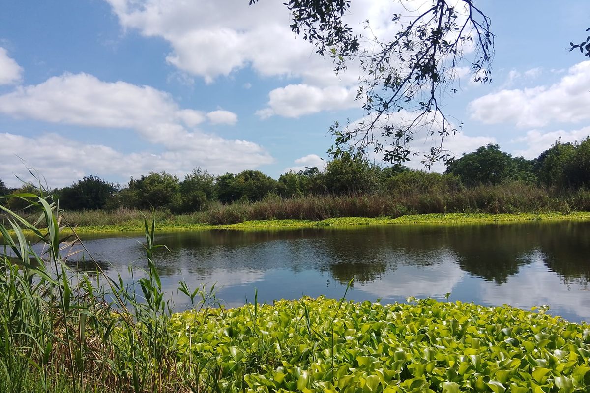 22Ha Prime Development Land – R512, Brits - Photo 3