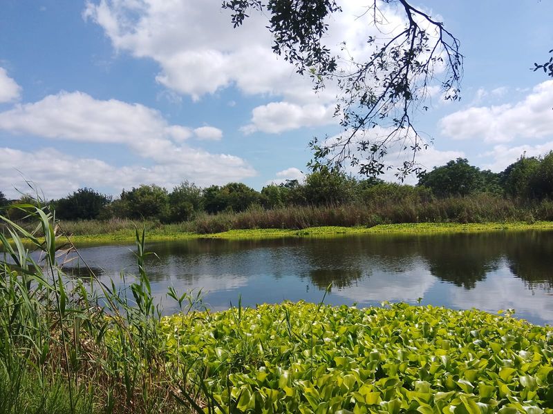 22Ha Prime Development Land – R512, Brits - Photo 3