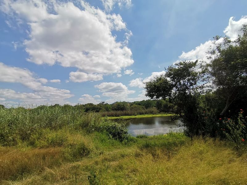 22Ha Prime Development Land – R512, Brits - Photo 6