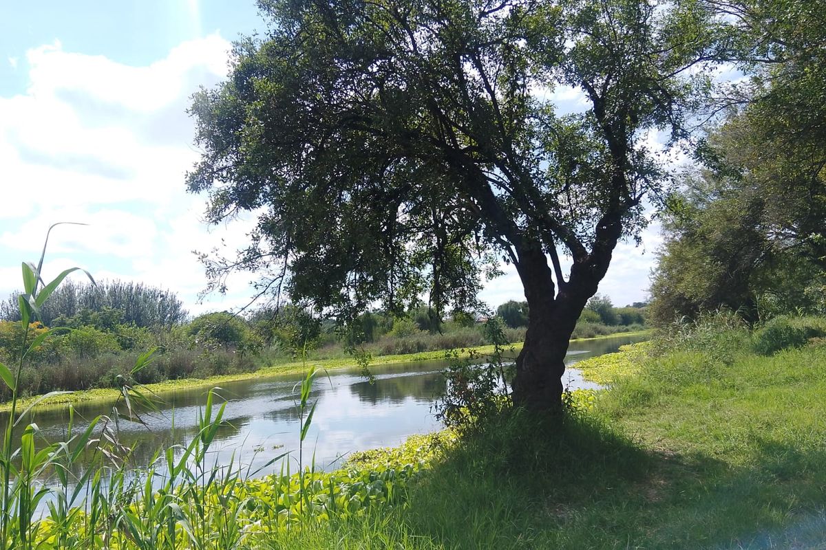 22Ha Prime Development Land – R512, Brits - Photo 2