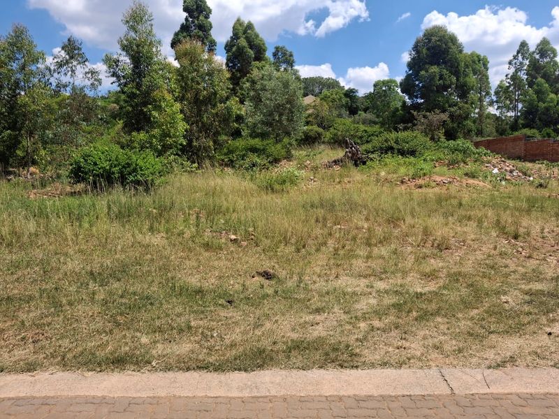 Luxury Bushveld Living Begins With Your Vision - Photo 9