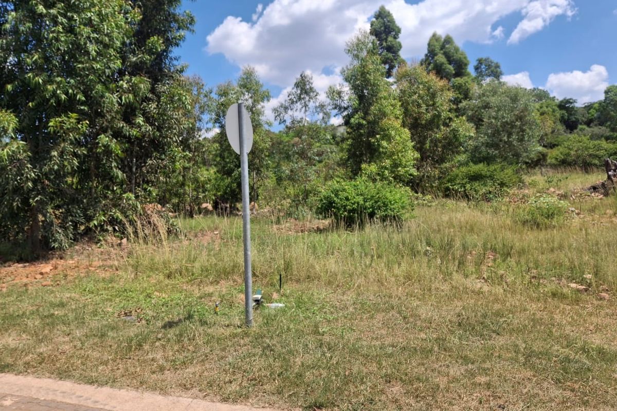 Luxury Bushveld Living Begins With Your Vision - Photo 2