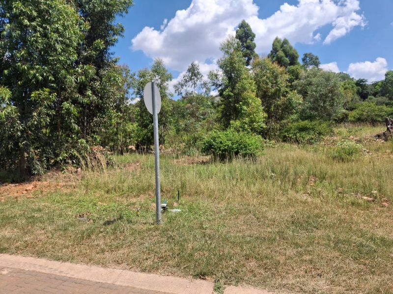 Luxury Bushveld Living Begins With Your Vision - Photo 2