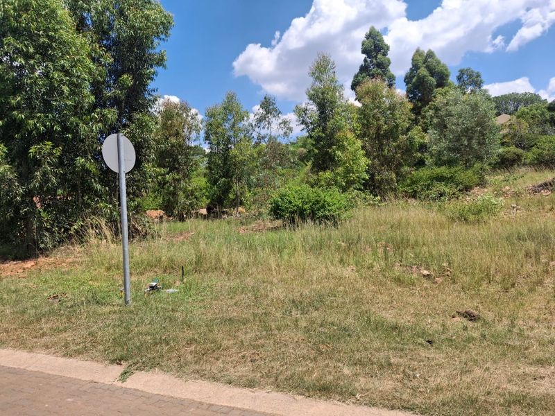 Luxury Bushveld Living Begins With Your Vision - Photo 10