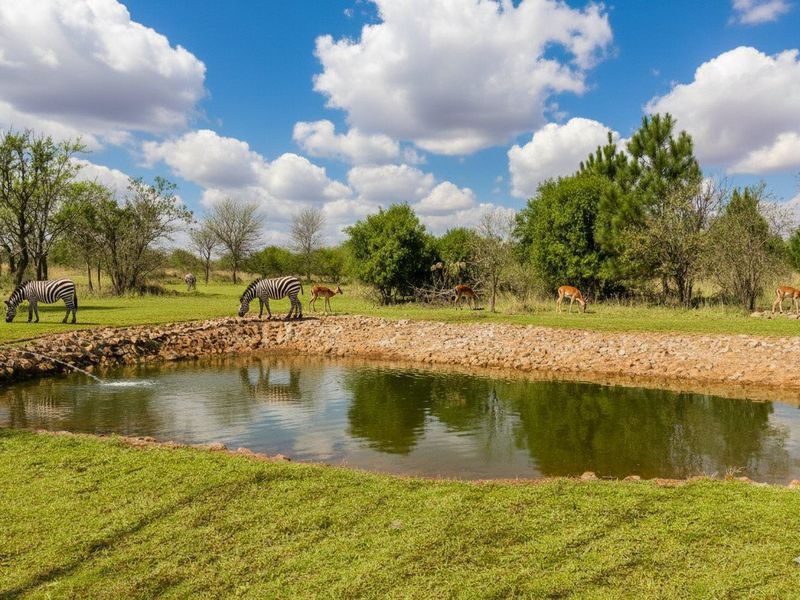 Luxury Bushveld Living Begins With Your Vision - Photo 3