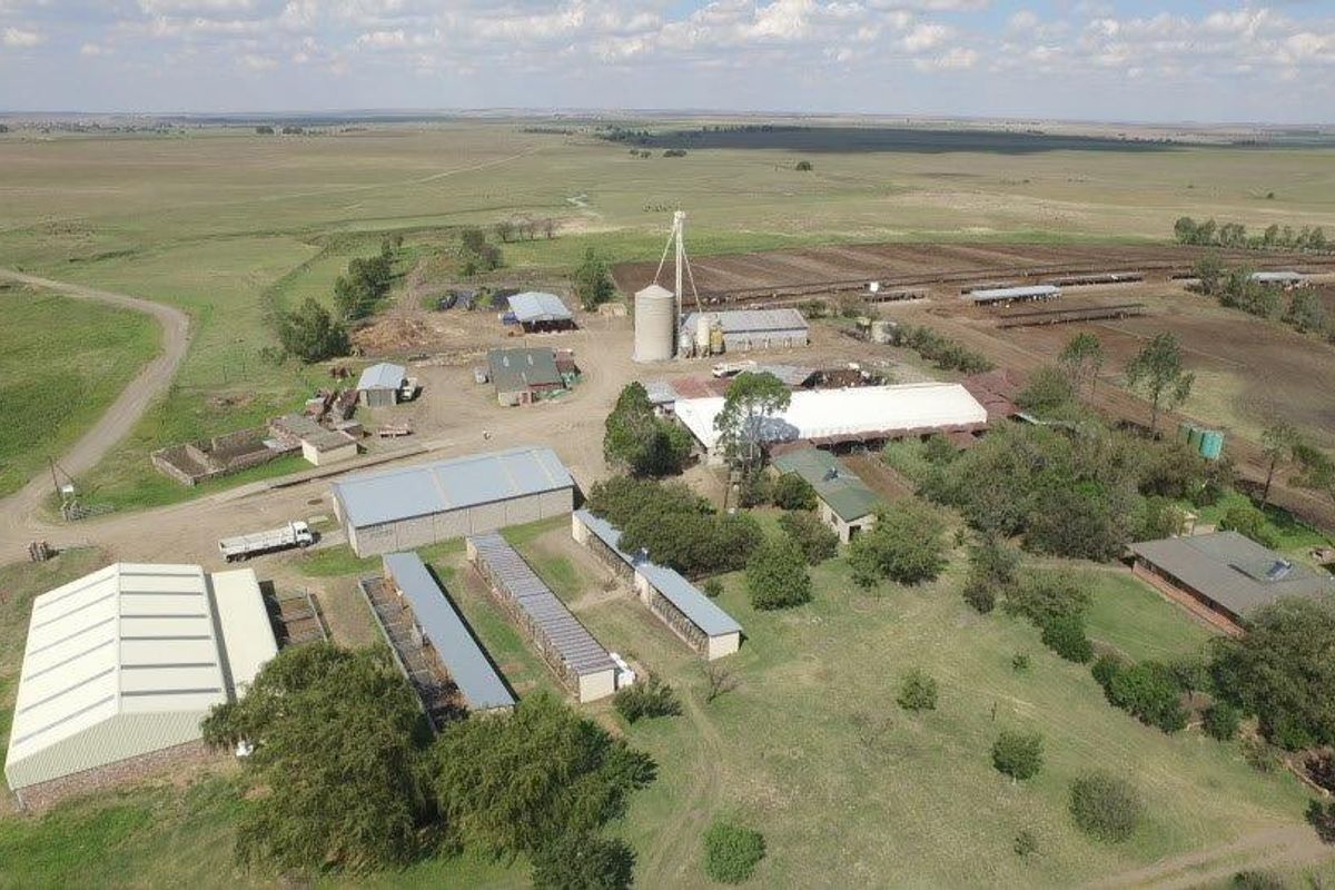 Gevestigde Mega-plaas in die Vrugbare Riemland – Nou Te Koop - Photo 5