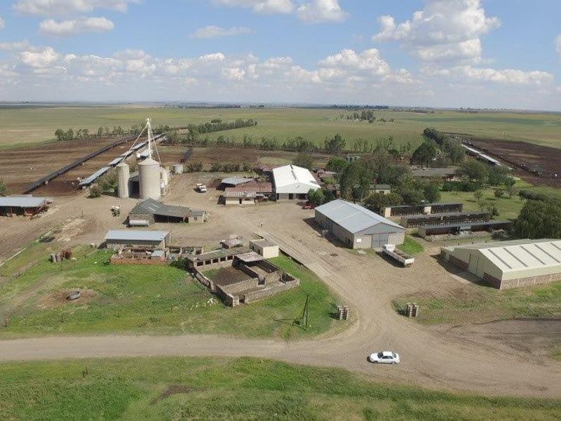 Gevestigde Mega-plaas in die Vrugbare Riemland – Nou Te Koop - Photo 4