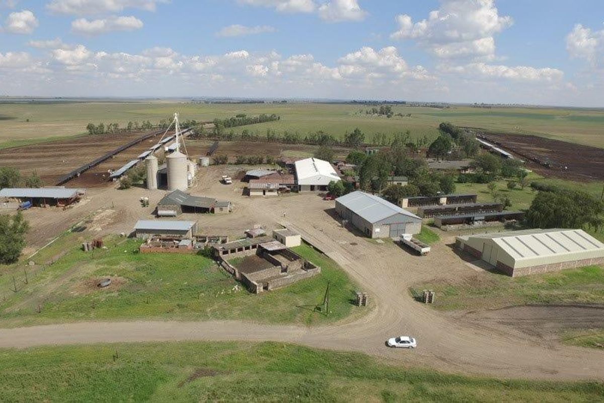 Gevestigde Mega-plaas in die Vrugbare Riemland – Nou Te Koop - Photo 4