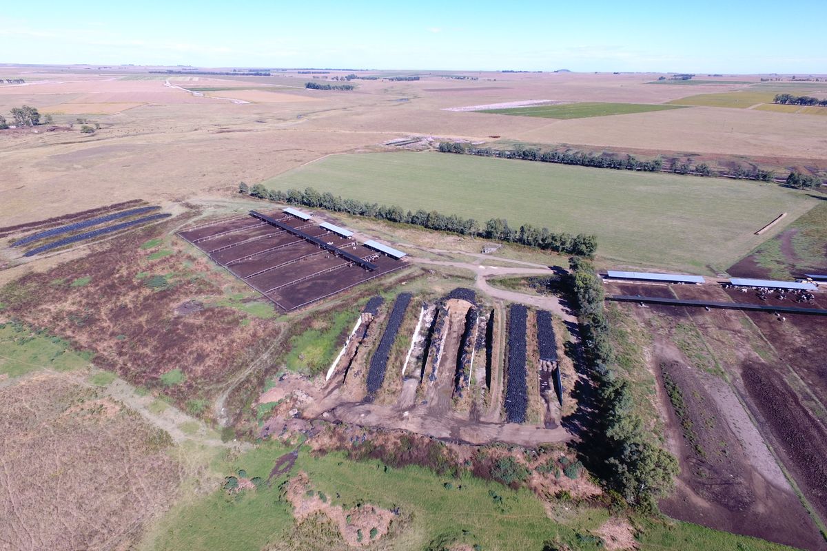 Gevestigde Mega-plaas in die Vrugbare Riemland – Nou Te Koop - Photo 3