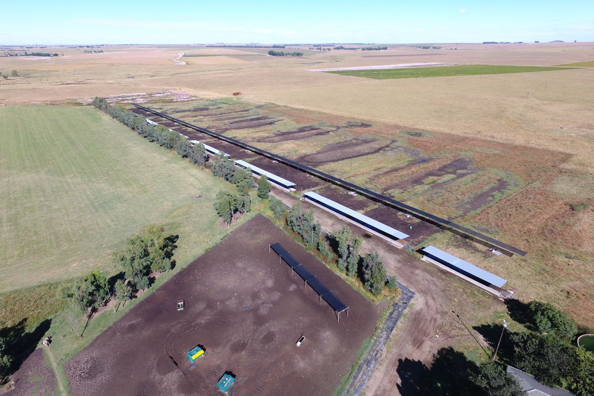 Gevestigde Mega-plaas in die Vrugbare Riemland – Nou Te Koop - Photo 2