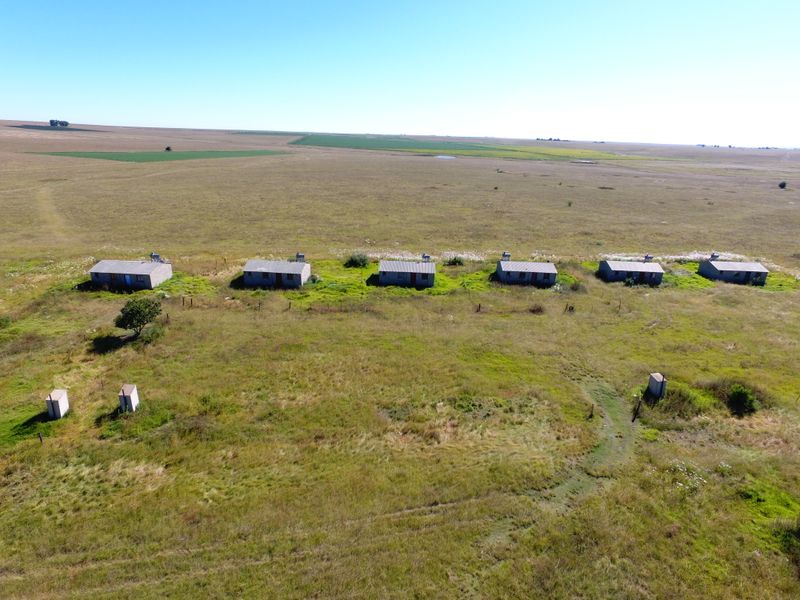 Gevestigde Mega-plaas in die Vrugbare Riemland – Nou Te Koop - Photo 10