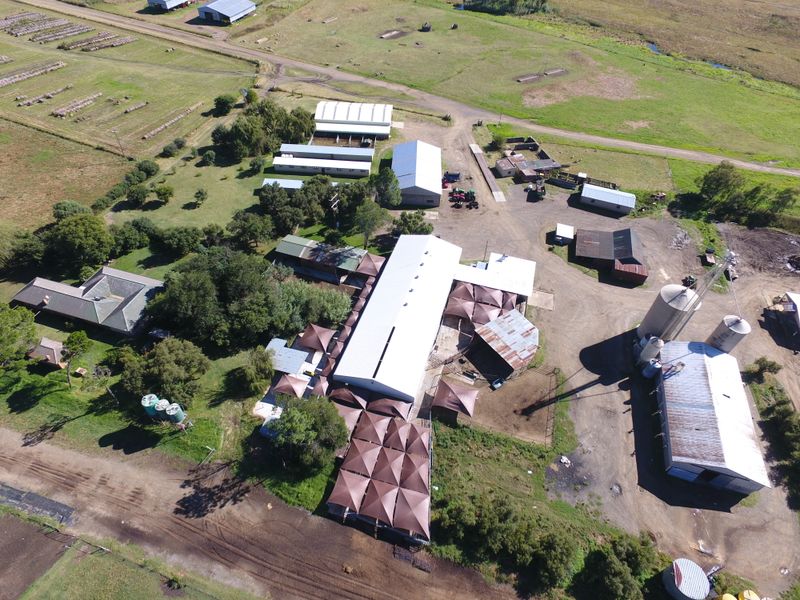 Gevestigde Mega-plaas in die Vrugbare Riemland – Nou Te Koop - Photo 8