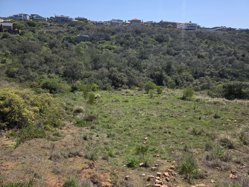 A sloped vacant residential plot featuring natural vegetation and hillside views, offering a prime opportunity for custom development in a scenic location.