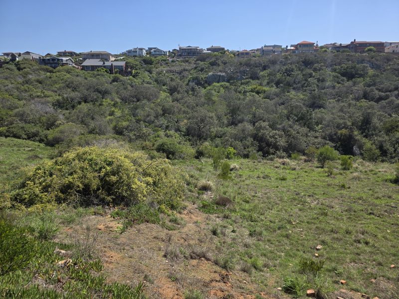 A view of the vacant residential land featuring natural vegetation and sloping terrain with established residential properties visible in the background.