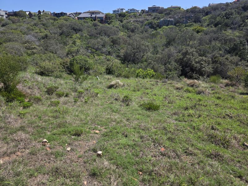 A view of a sloped, undeveloped residential plot featuring natural vegetation and surrounding hillside residential properties.