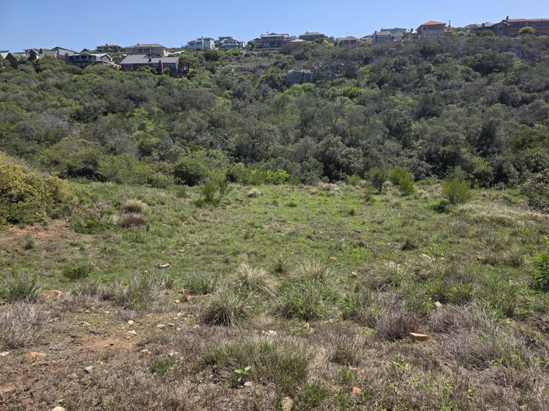 A view of a vacant residential plot featuring natural vegetation and sloping terrain, set against a backdrop of established hillside homes.