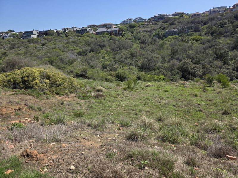 A sloped, undeveloped residential plot featuring natural vegetation and hillside terrain, offering a scenic outlook towards established homes in the surrounding neighborhood.