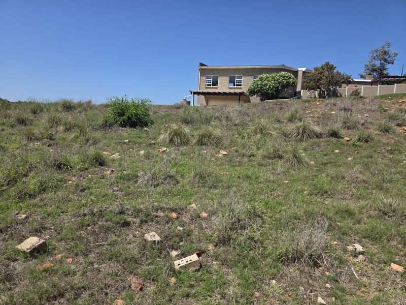 A view of a vacant residential plot with natural vegetation and scattered debris, showing the adjacent property in the background.
