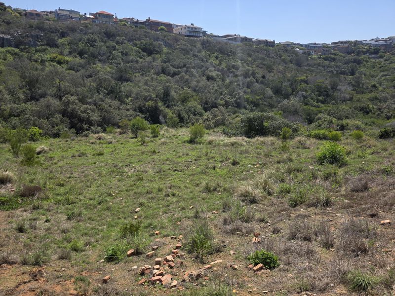 A sloped vacant residential plot featuring natural vegetation and hillside views, offering a blank canvas for future development.