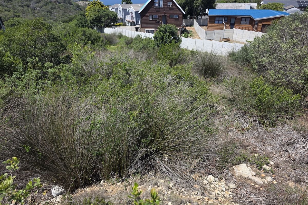 A view of a sloped, undeveloped residential plot featuring natural vegetation, with surrounding neighborhood homes visible in the background.