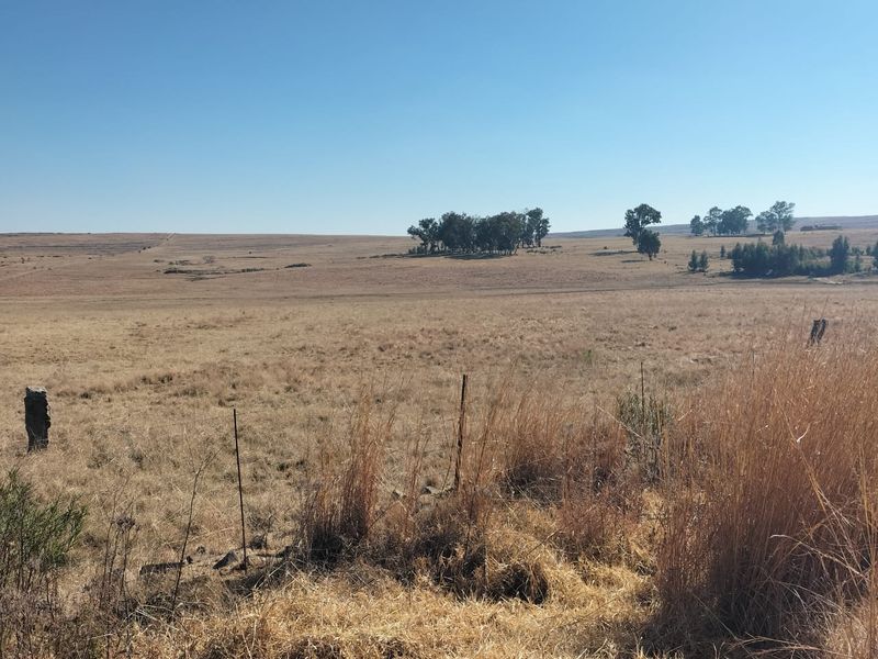 High potential mixed Farm in Bethlehem - Photo 2