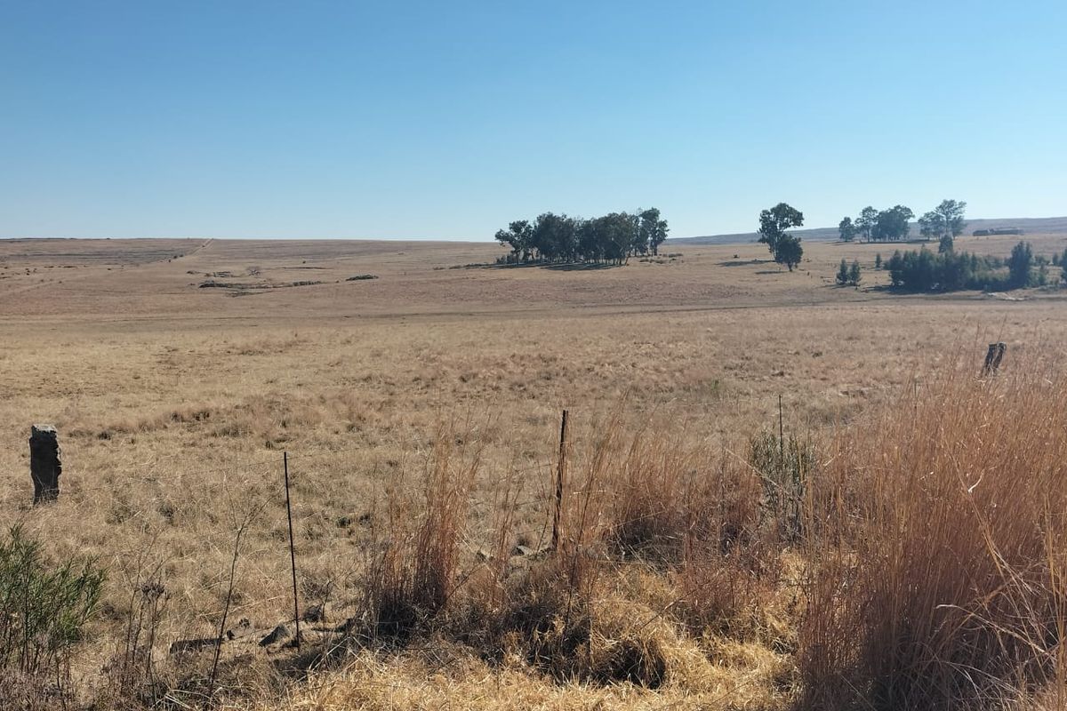 High potential mixed Farm in Bethlehem - Photo 2