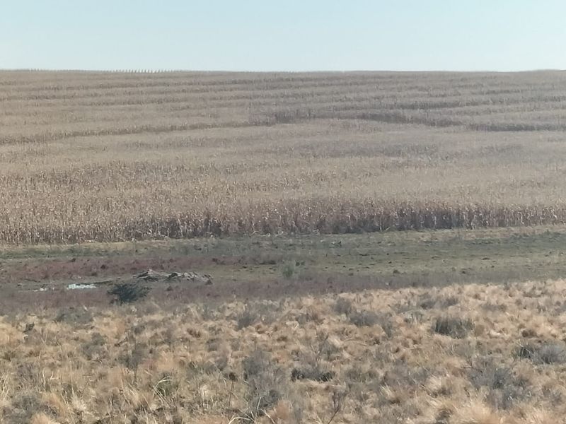 High potential mixed Farm in Bethlehem - Photo 6