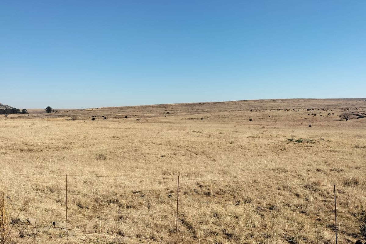 High potential mixed Farm in Bethlehem - Photo 3