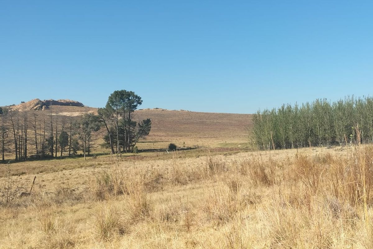 A scenic view of the expansive farm landscape featuring rolling hills, natural vegetation, and mature trees under a clear blue sky.