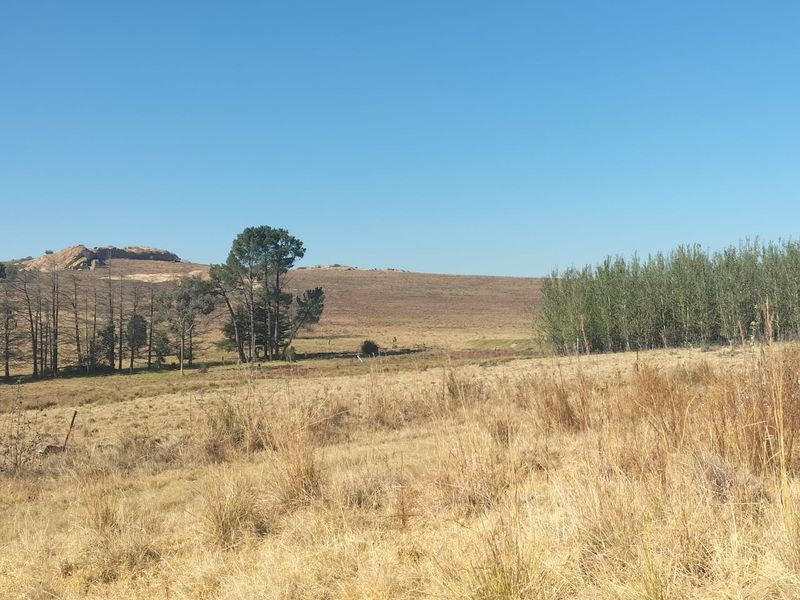 A scenic view of the expansive farm landscape featuring rolling hills, natural vegetation, and mature trees under a clear blue sky.