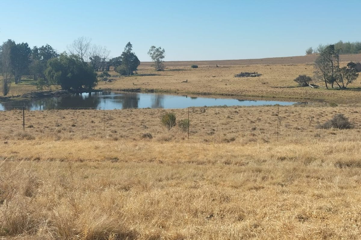 A scenic view of the farm landscape featuring a natural dam and open grazing fields under a clear blue sky.