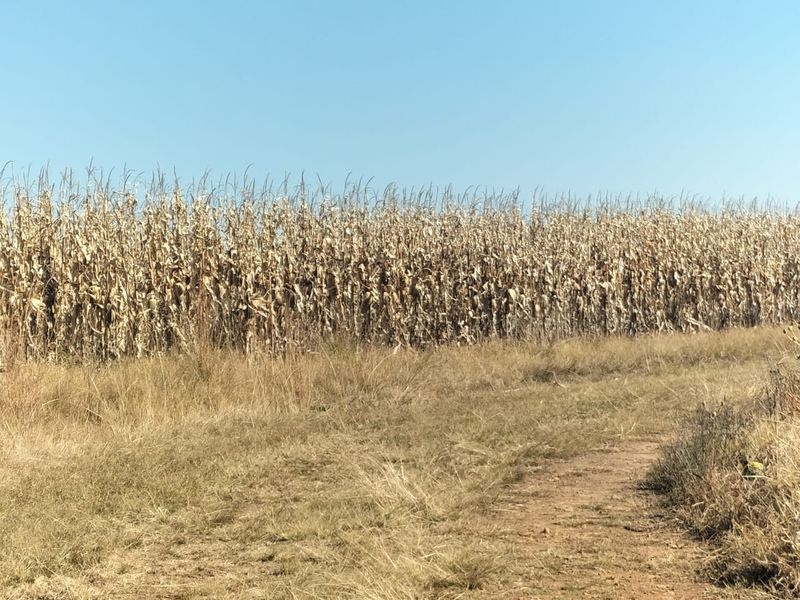 High potential mixed Farm in Bethlehem - Photo 8
