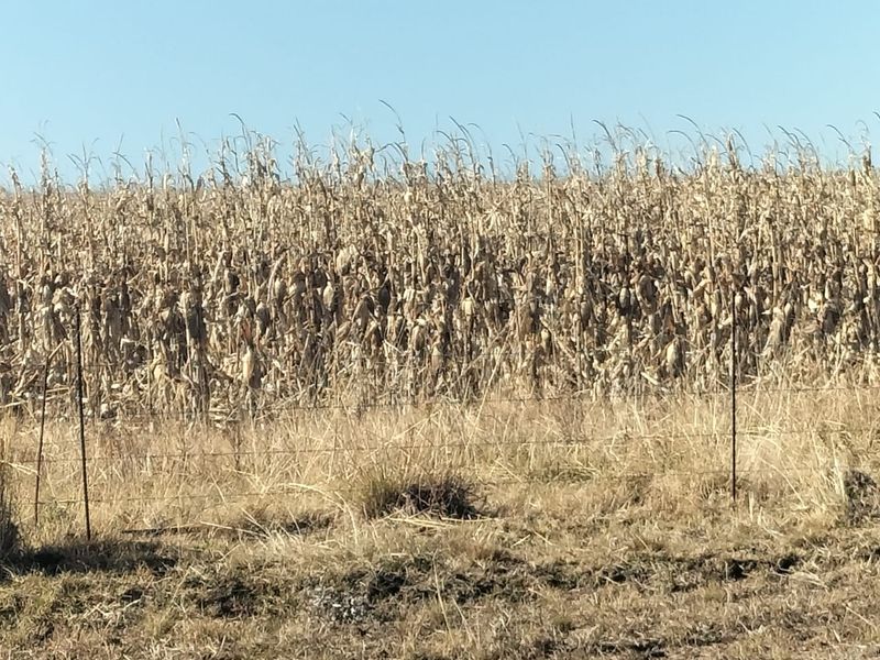 High potential mixed Farm in Bethlehem - Photo 4