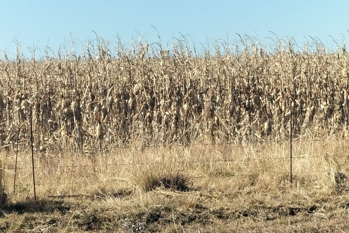High potential mixed Farm in Bethlehem - Photo 4