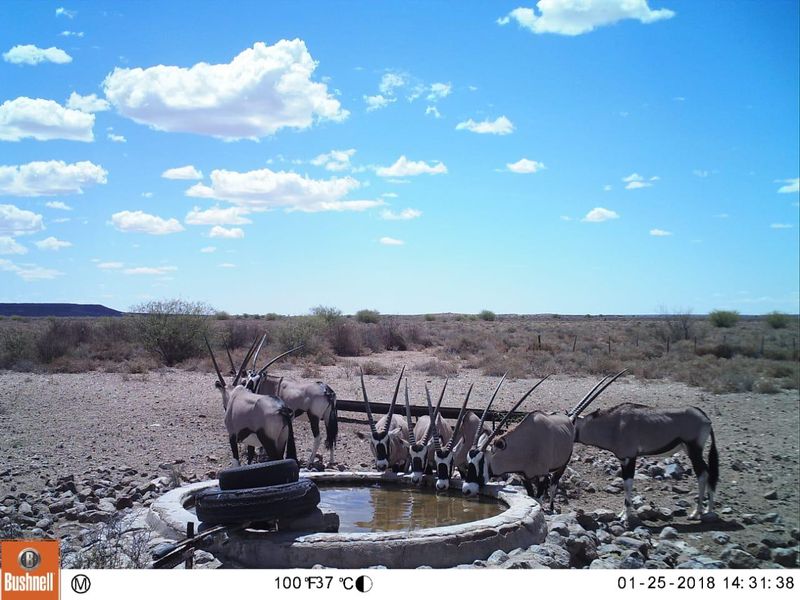 Farm For Sale In Prieska - Photo 10