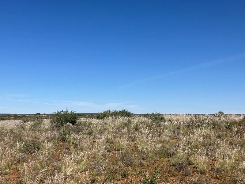 Farm For Sale In Prieska - Photo 8