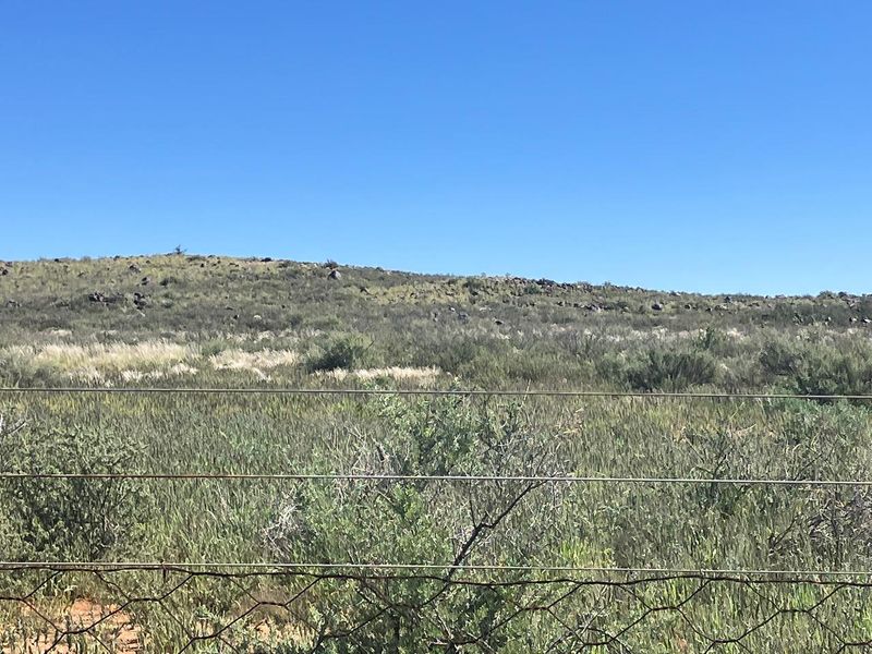 Farm For Sale In Prieska - Photo 6