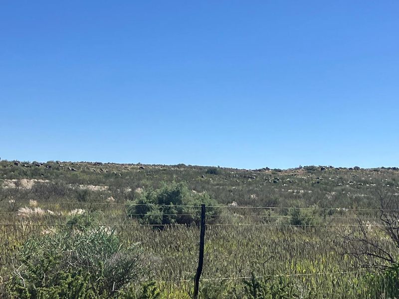 Farm For Sale In Prieska - Photo 5