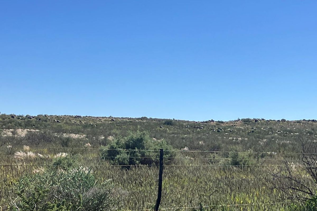 Farm For Sale In Prieska - Photo 5