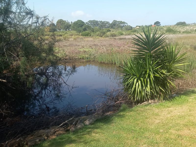 A scenic view of a natural pond surrounded by lush greenery and native vegetation, offering a peaceful outdoor setting.